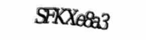 Security check image, please type the characters shown